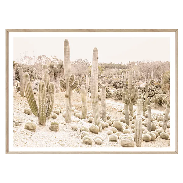 Cactus Garden