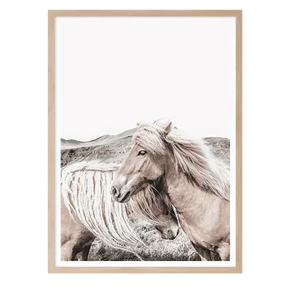 Mountain Horses