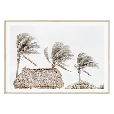 Summer Winds