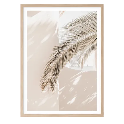 Soft Fronds