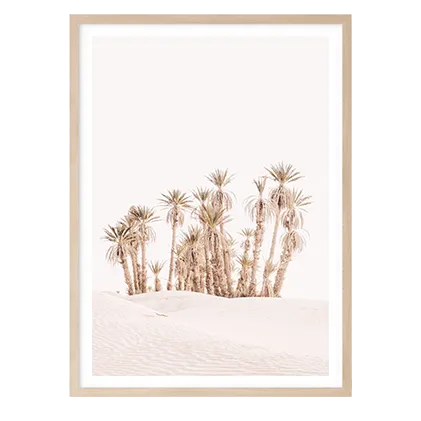 Desert Mirage II
