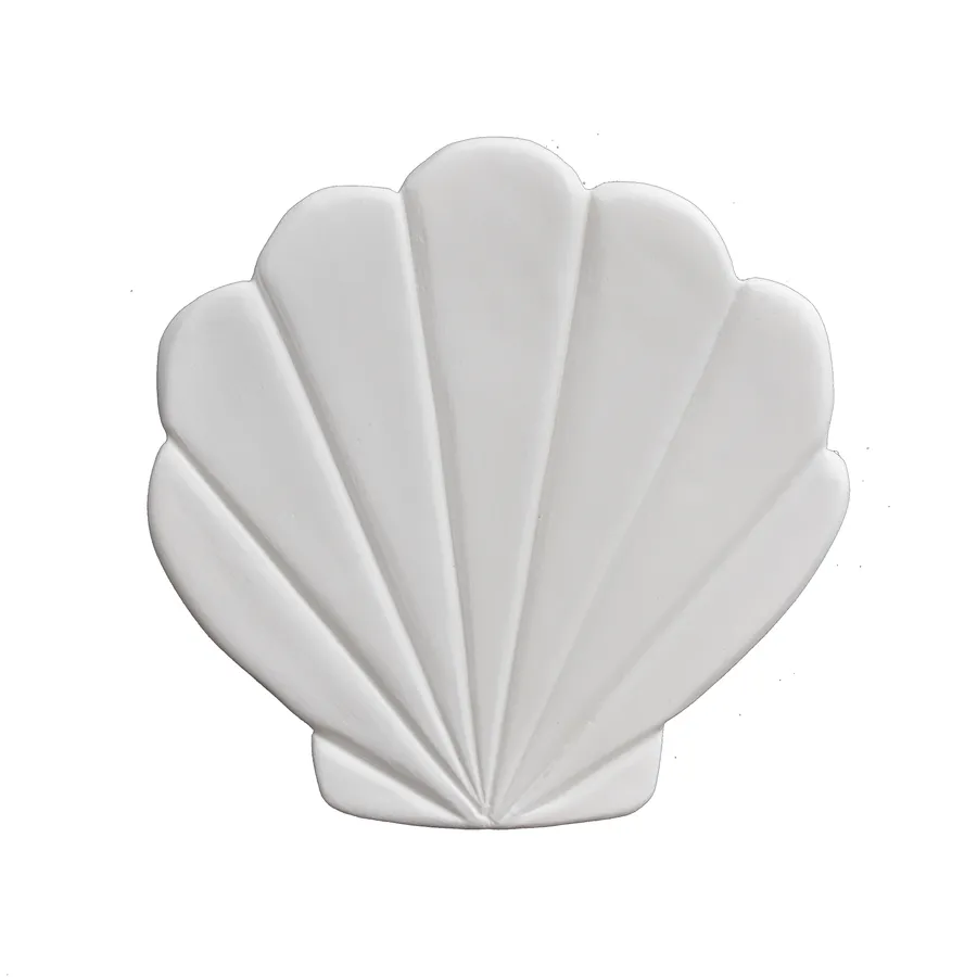 Summer Shells - Medium White Clam