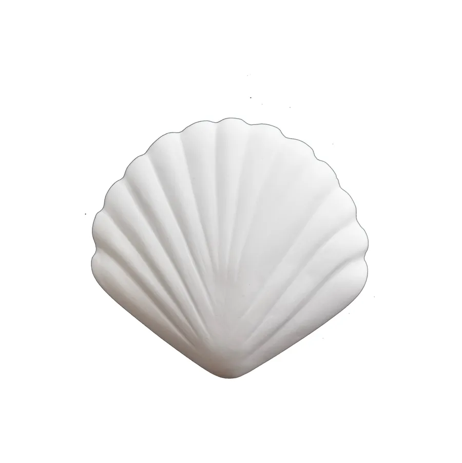 Summer Shells - Small Clam