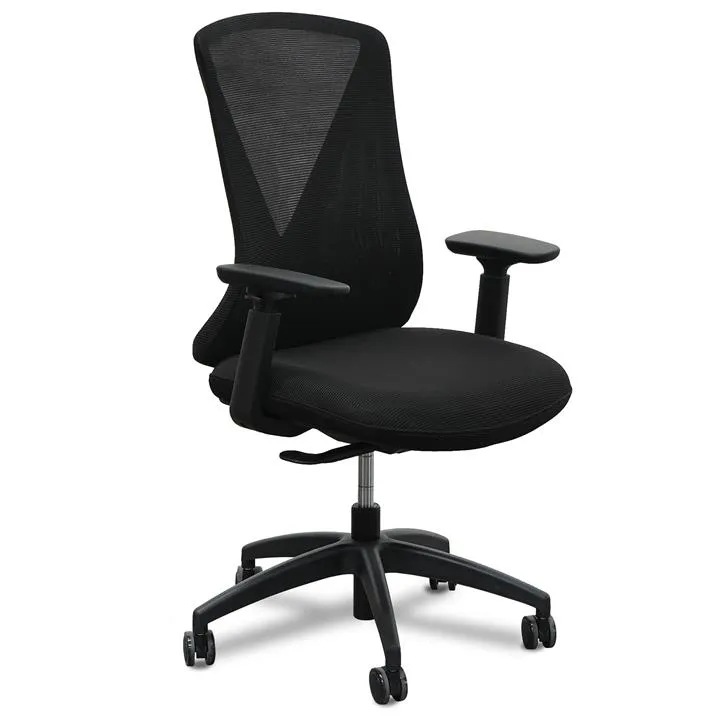 Shadow Ergonomic Office Chair - Black by Interior Secrets - AfterPay Available