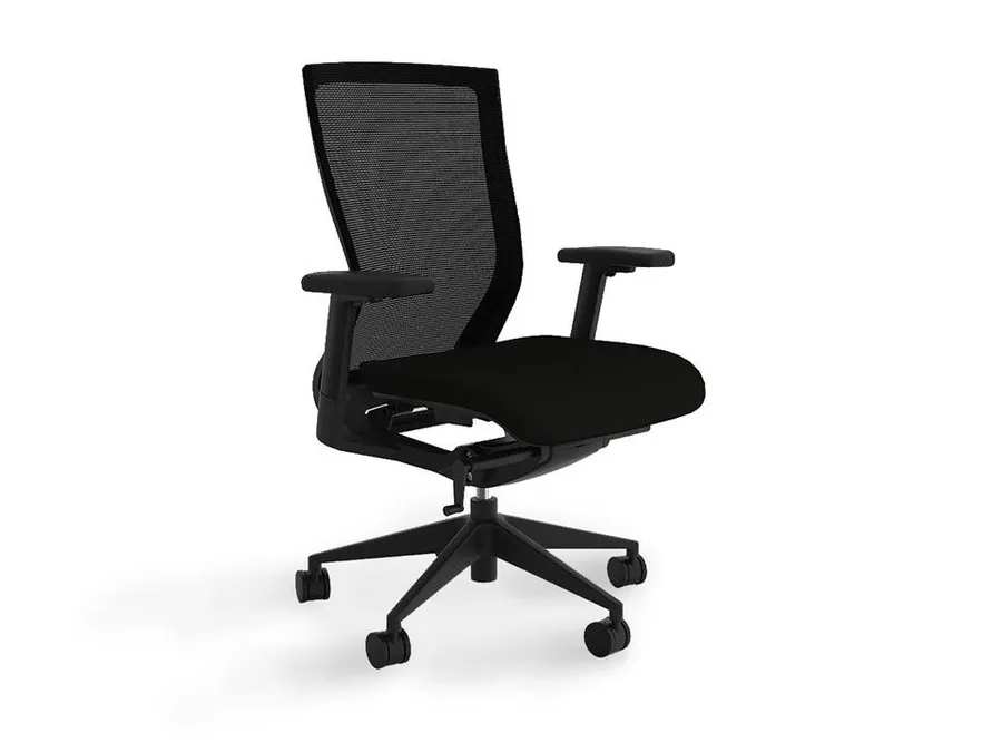 Balance Project Executive Mesh Ergonomic Office Chair with Arms - Black by Interior Secrets - AfterPay Available
