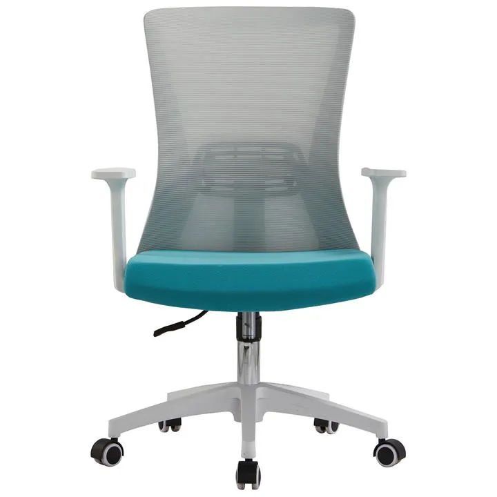 Hingis Mesh Fabric Ergonomic Office Chair, White / Aqua by Emporium