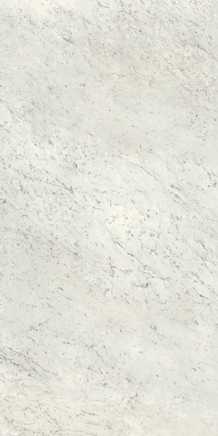 Infinity Marble Carrara C Polished Porcelain Slab Tile