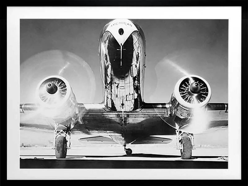 Aviator Framed Art Print