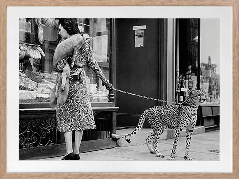 Window Shopping Framed Art Print