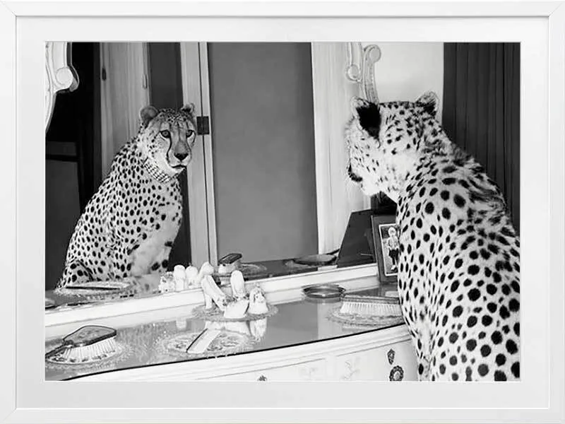 Feline Fine Framed Art Print