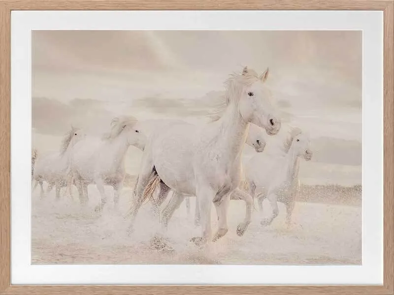 White Horse Stampede Framed Art Print