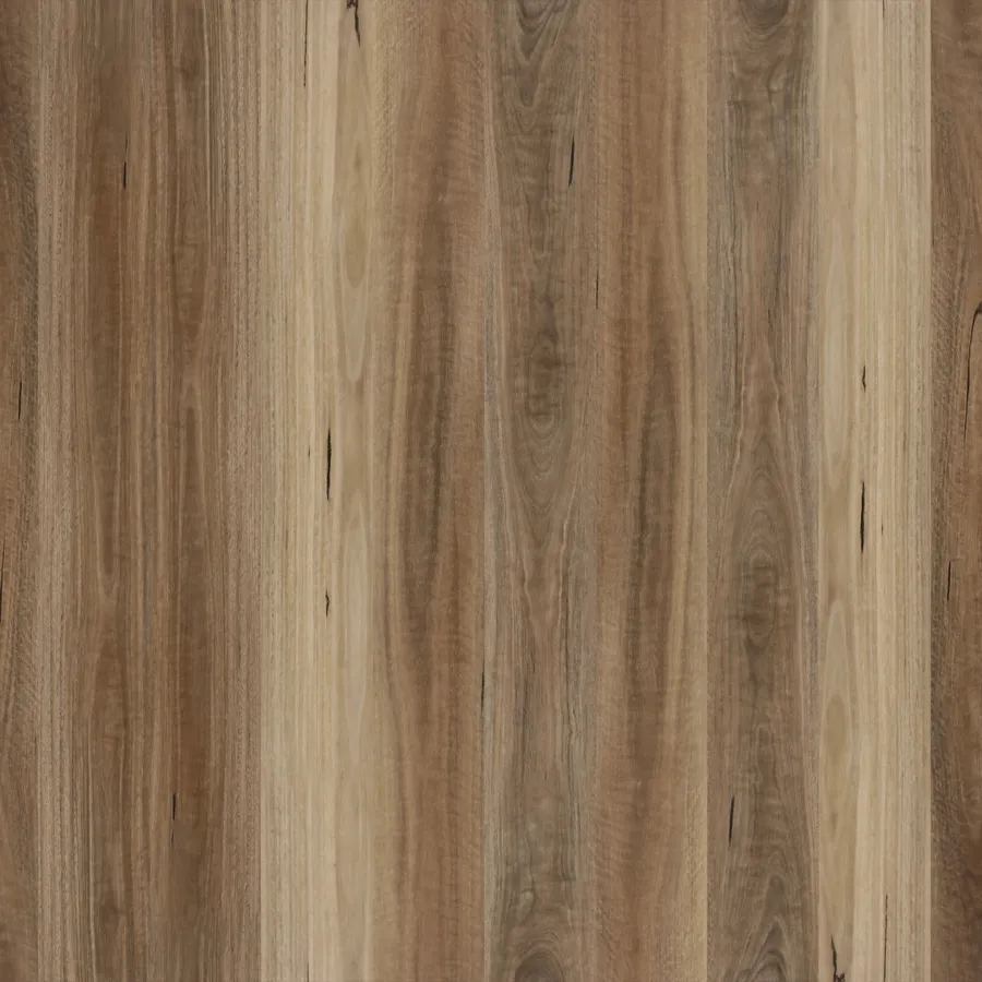 Spotted Gum