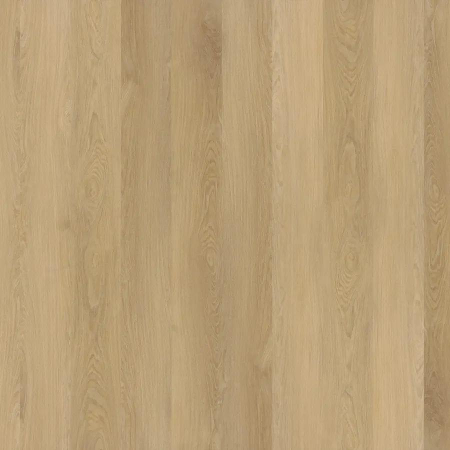 Coastal Beige