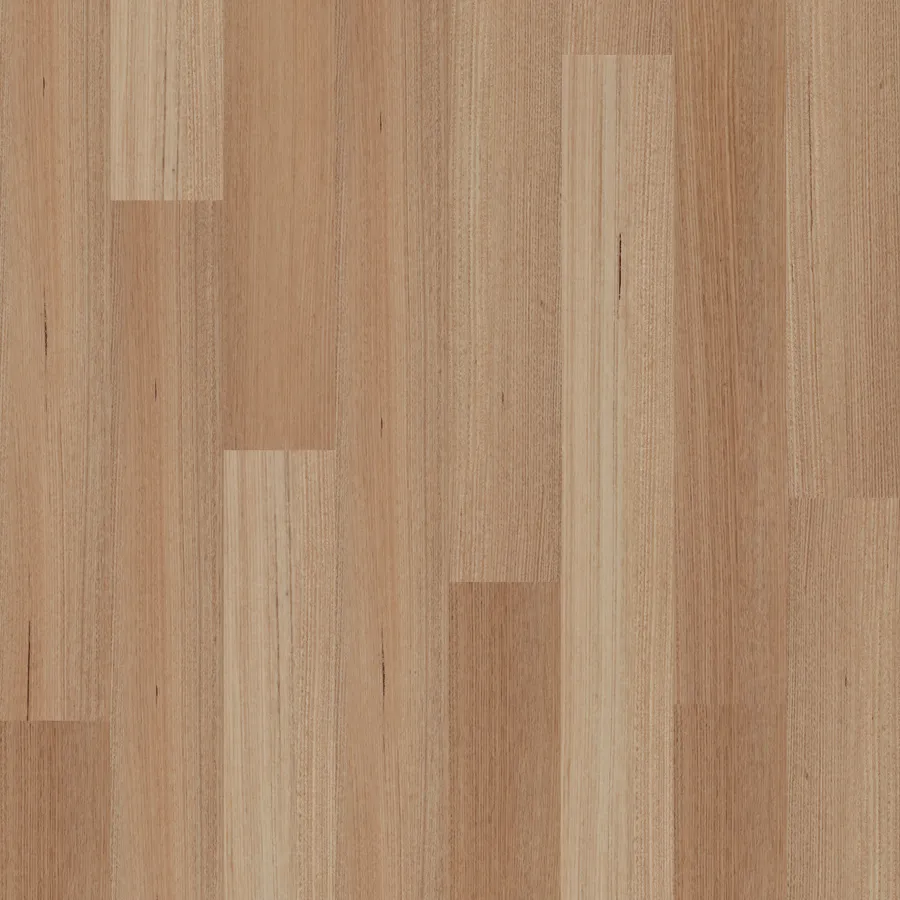 Tasmanian Oak