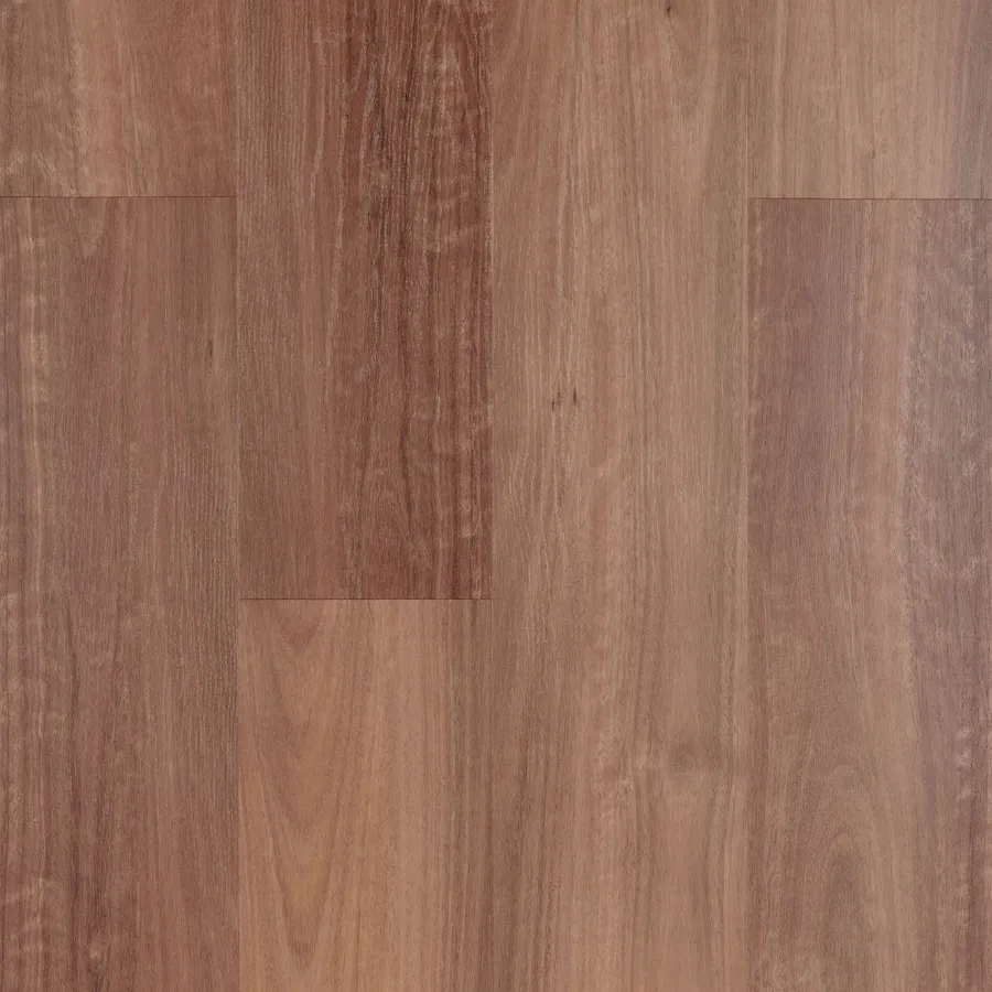 Classic Spotted Gum