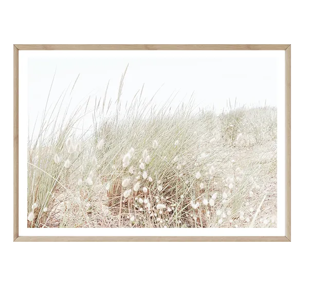 South Coastal Grass