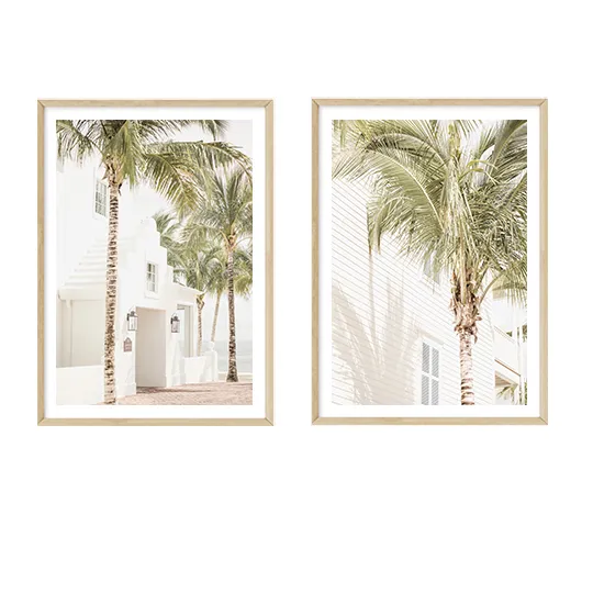 Palmiers de Floride Set