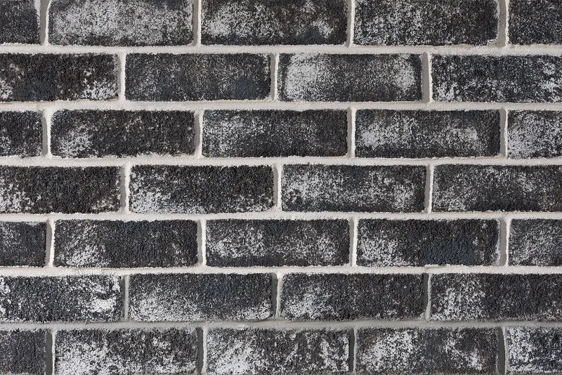 Thin Brick - Wild Storm