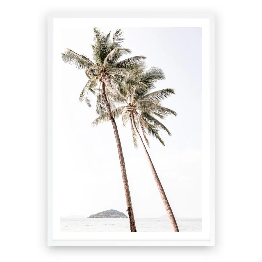 Twin Palms Photo Art Print
