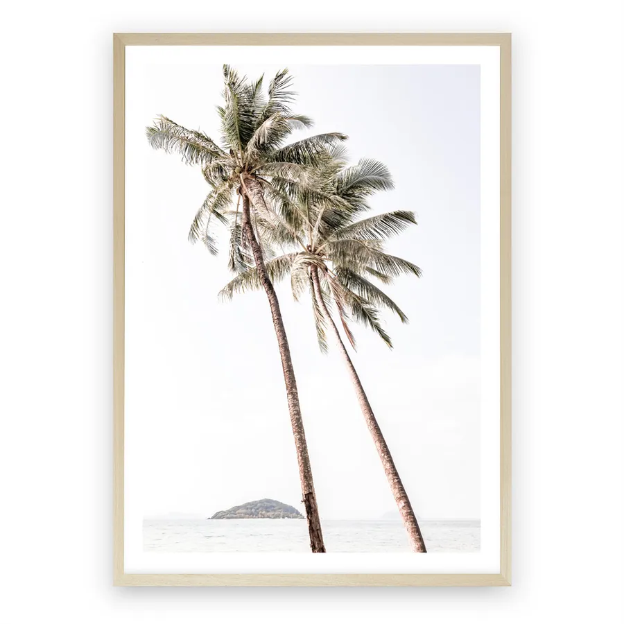 Twin Palms Photo Art Print