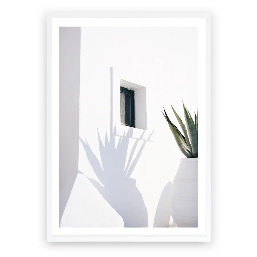 Cactus Shadow Photo Art Print