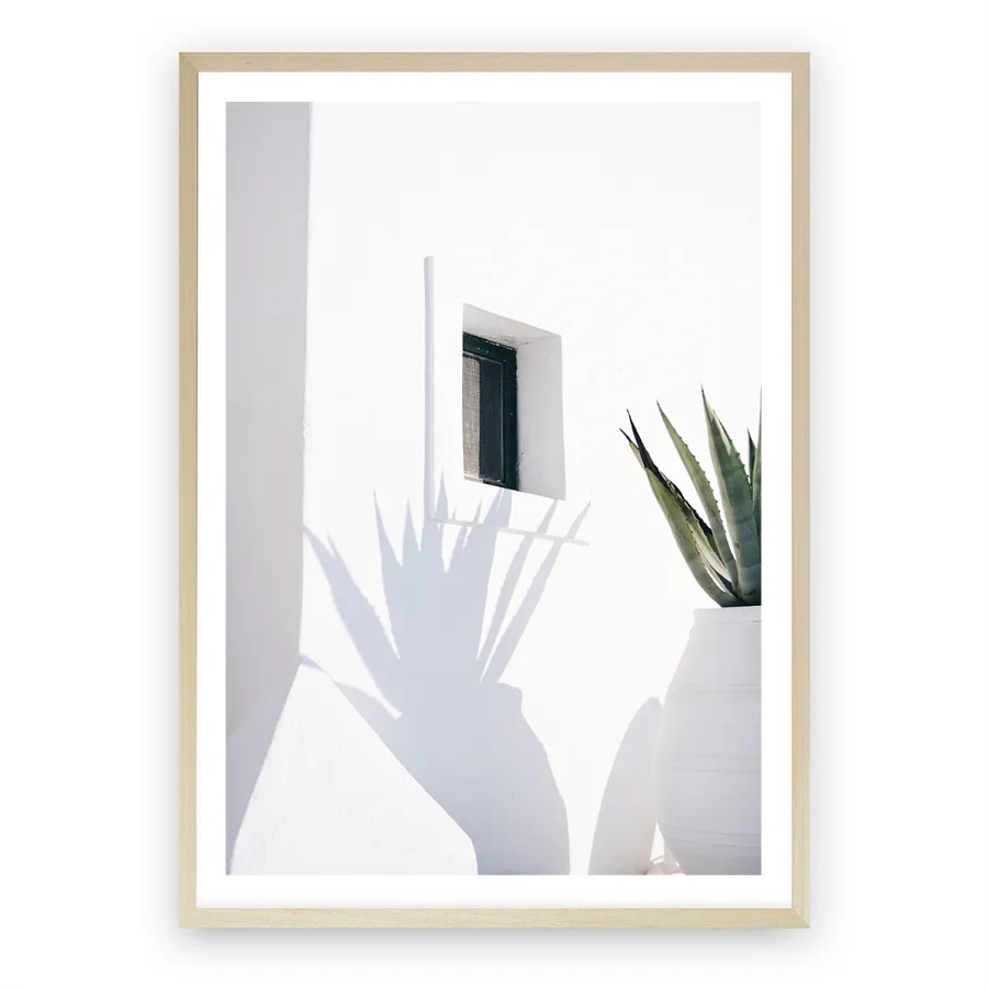 Cactus Shadow Photo Art Print