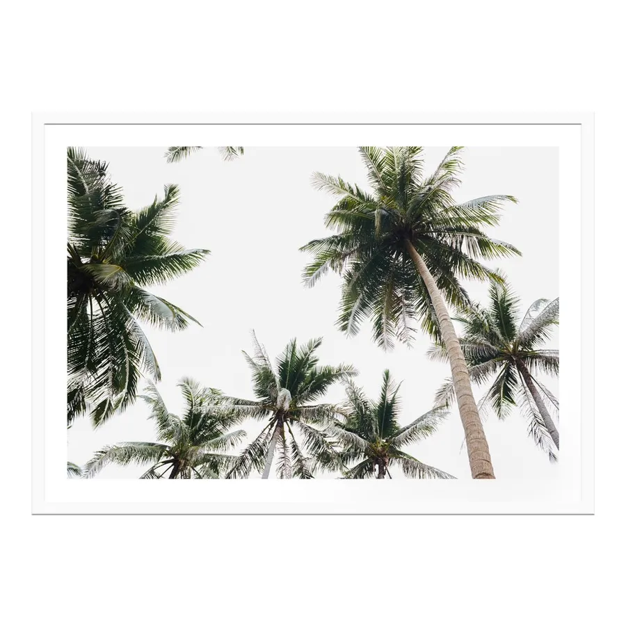Tropical Sky Framed Print  - 120cm x 86cm