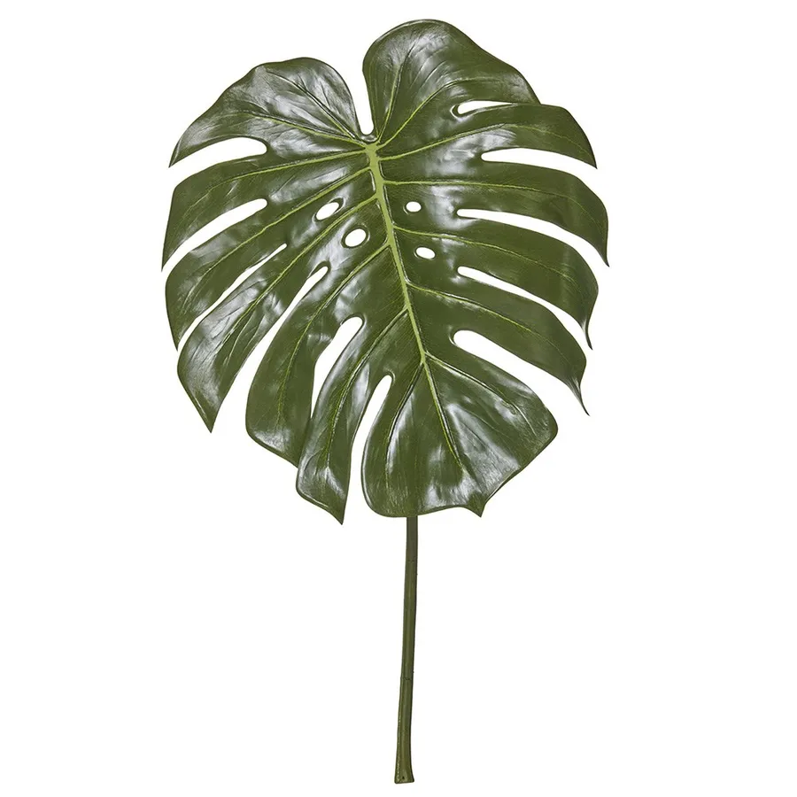 Monstera Leaf Green - 60cm