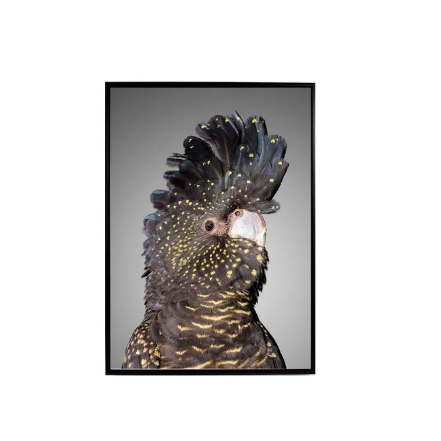 Cockatoo Framed Canvas Wall Art 140cm x 100cm