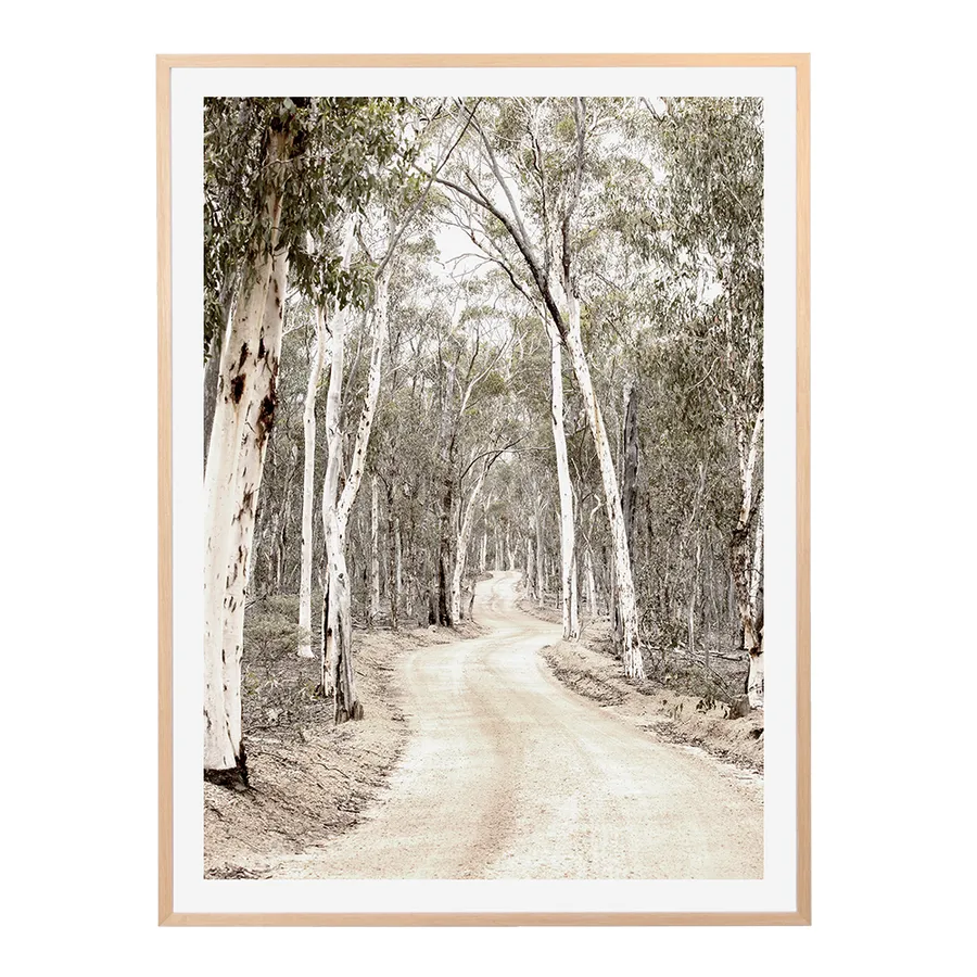 Bushland Track Print  - 85cm x 114cm