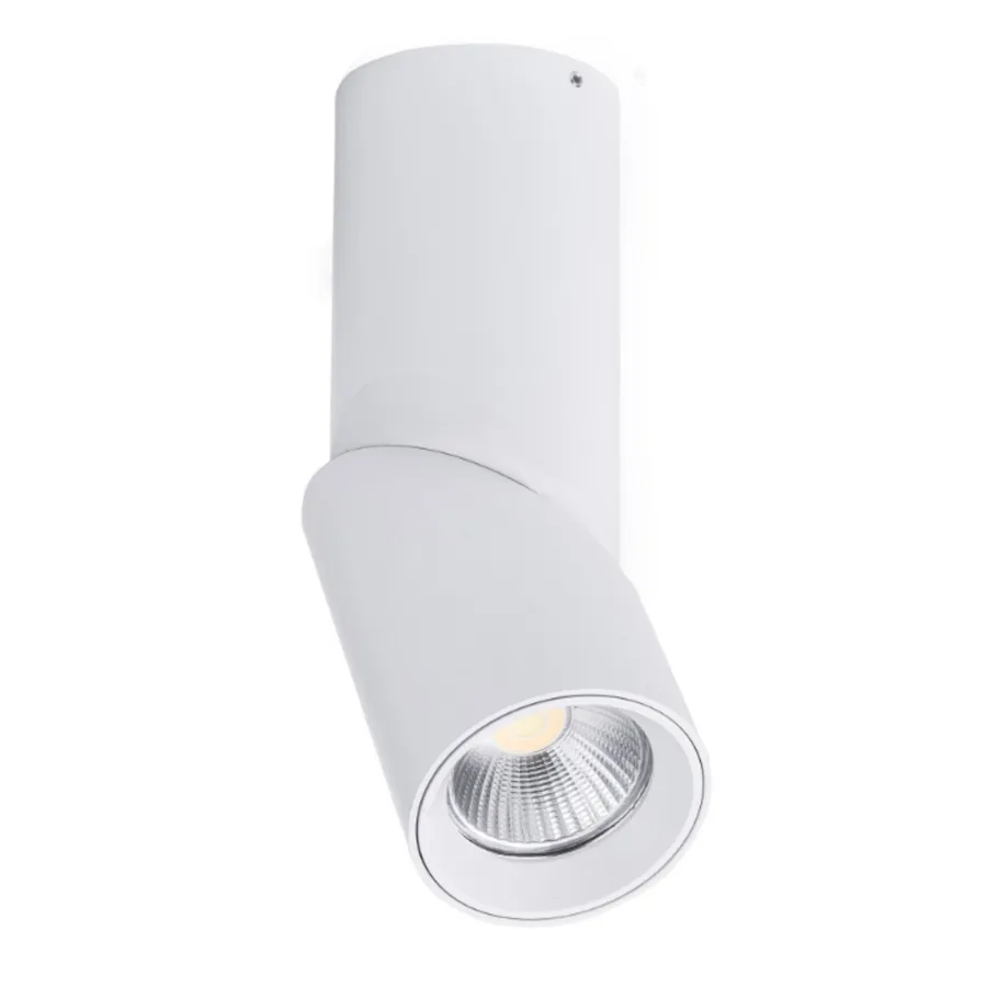 Nella Surface Mounted IP54 Rotatable 7W TRI Colour LED Downlight White