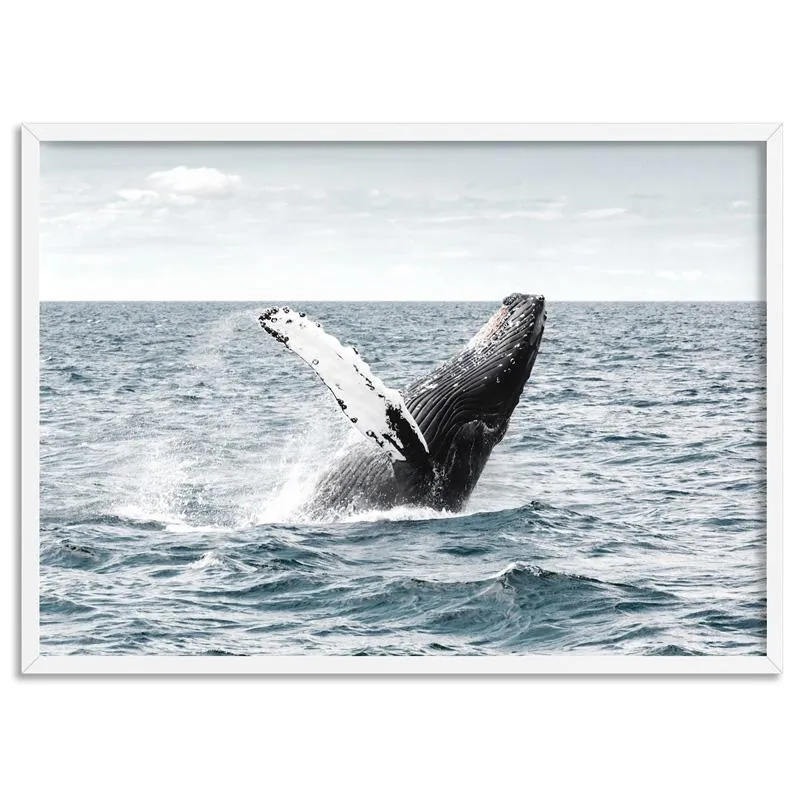 Humpback Whale - Art Print