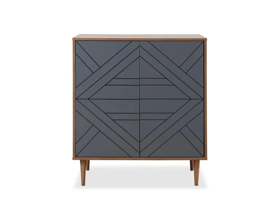 Zara Two Door Cabinet