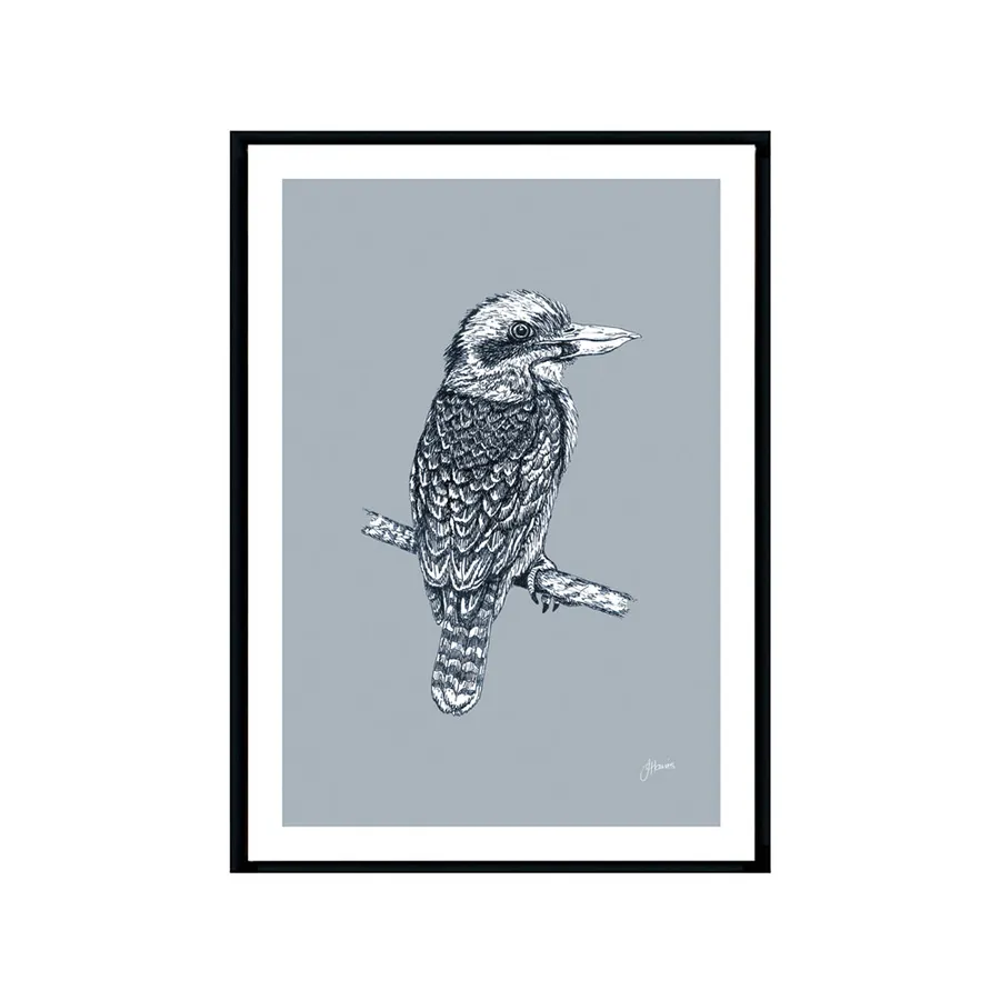 Kookaburra Australian Bird in Wedgewood Blue Fine Art Print | FRAMED Black Boxed Frame A3 (29.7cm x 42cm)
