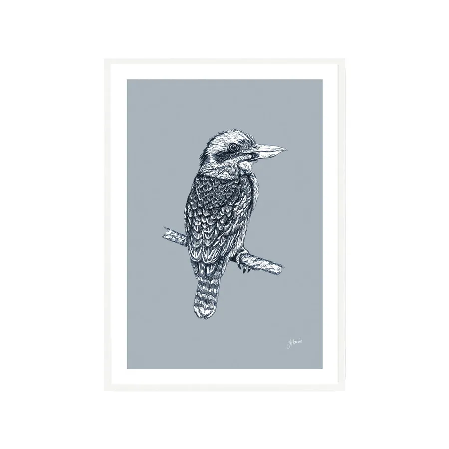 Kookaburra Australian Bird in Wedgewood Blue Fine Art Print | FRAMED White Boxed Frame A3 (29.7cm x 42cm)