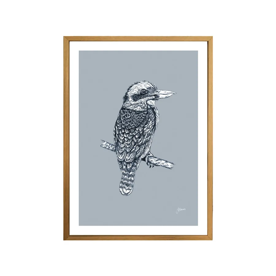 Kookaburra Australian Bird in Wedgewood Blue Fine Art Print | FRAMED Tasmanian Oak Boxed Frame A3 (29.7cm x 42cm)