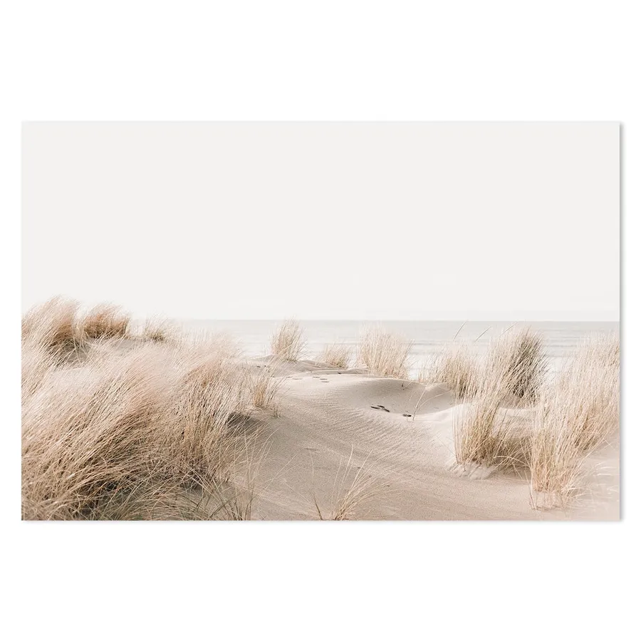 Sand Dune And Grass By The Beach, Soft Tone