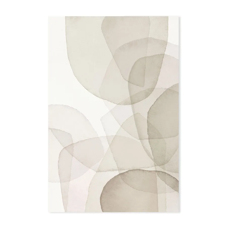 Abstract White Petal