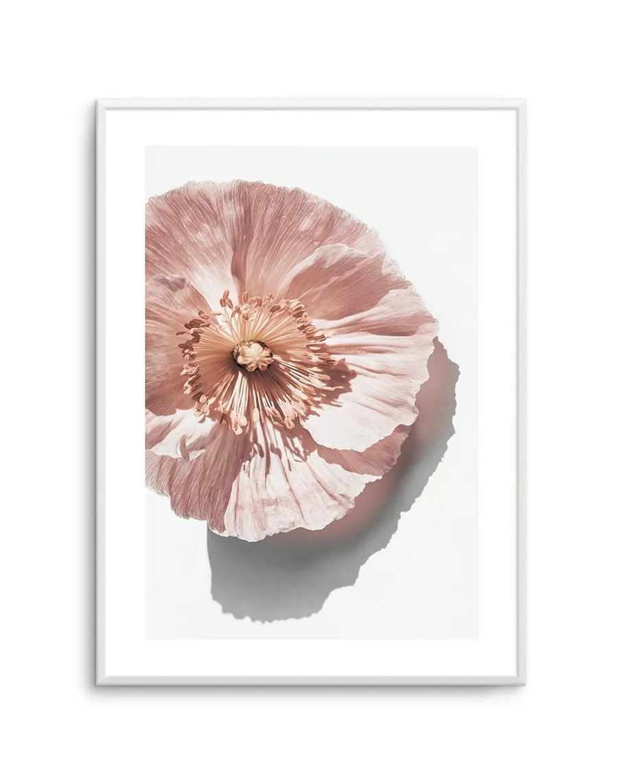 Abstract Poppies III