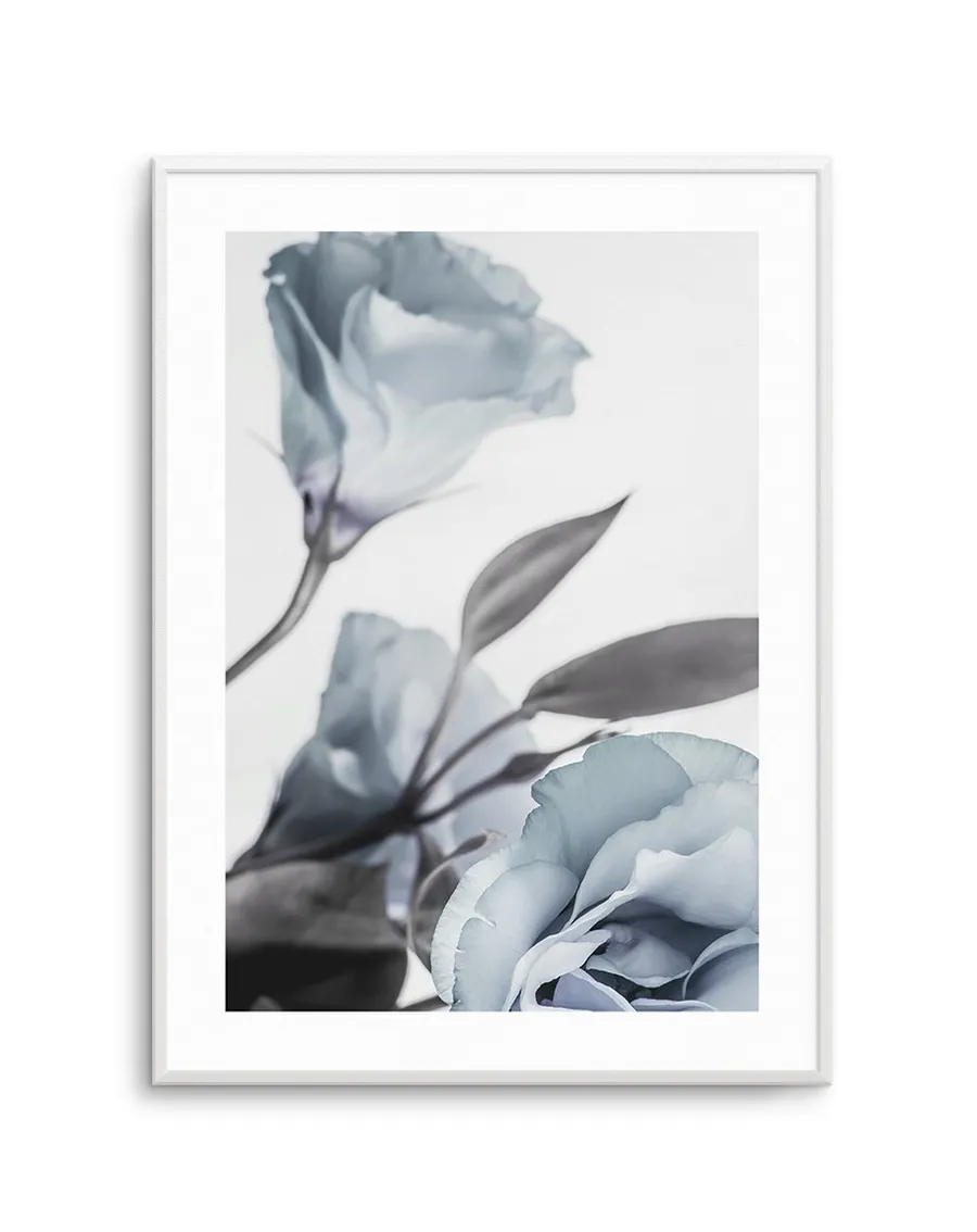 Blue Lisianthus I