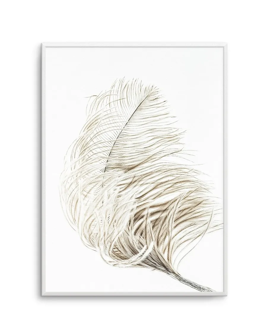 Plume