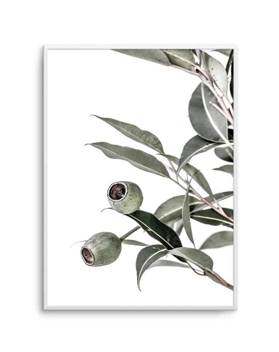 In the Gumtrees II