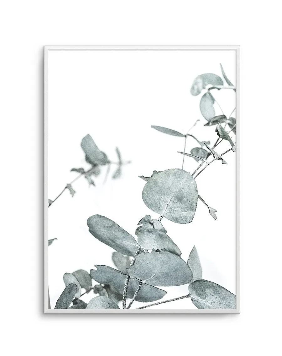 Eucalyptus Leaves I