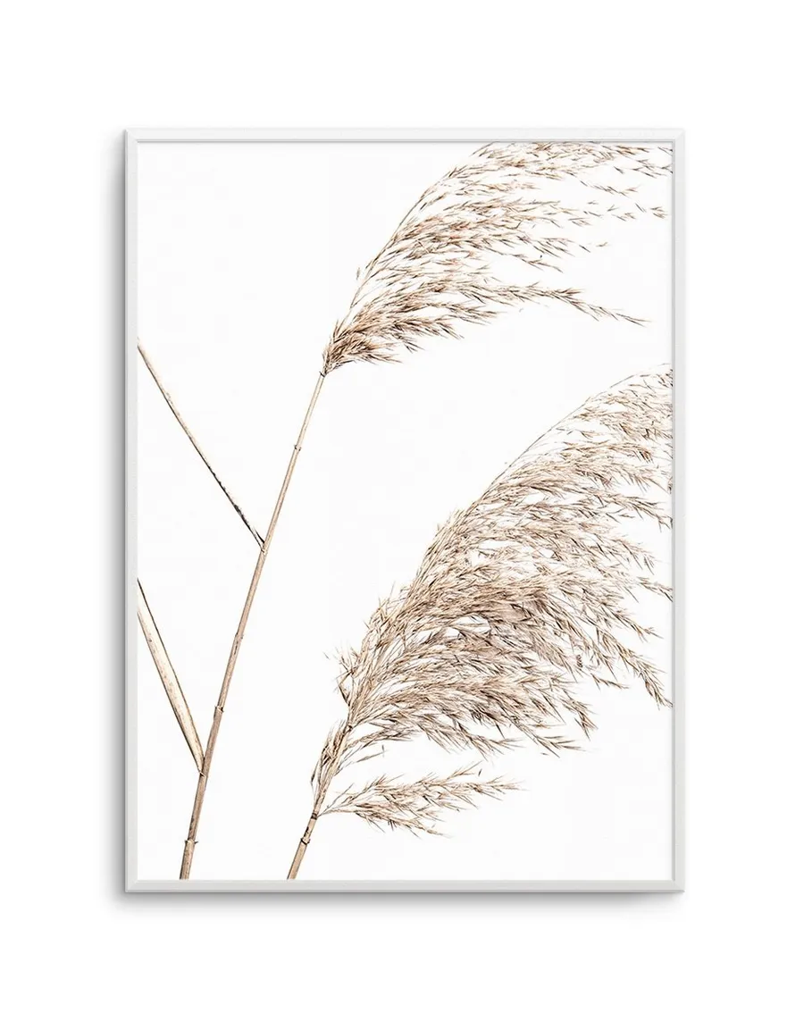 Seagrass I