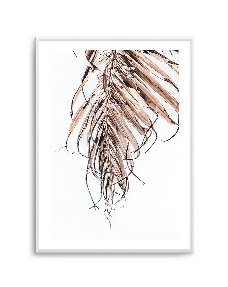 Golden Palm I