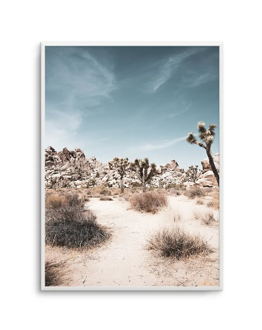 Joshua Tree I | SOFT
