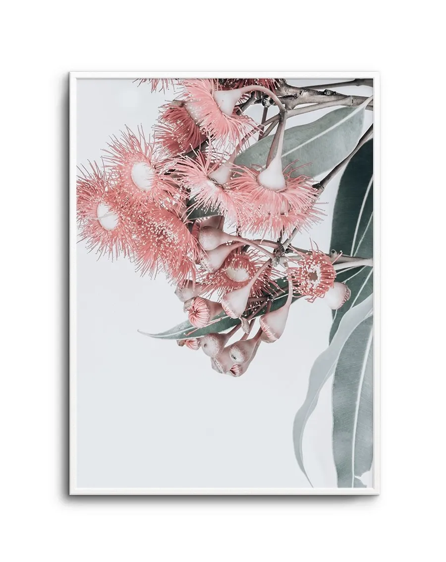 Summer Eucalyptus