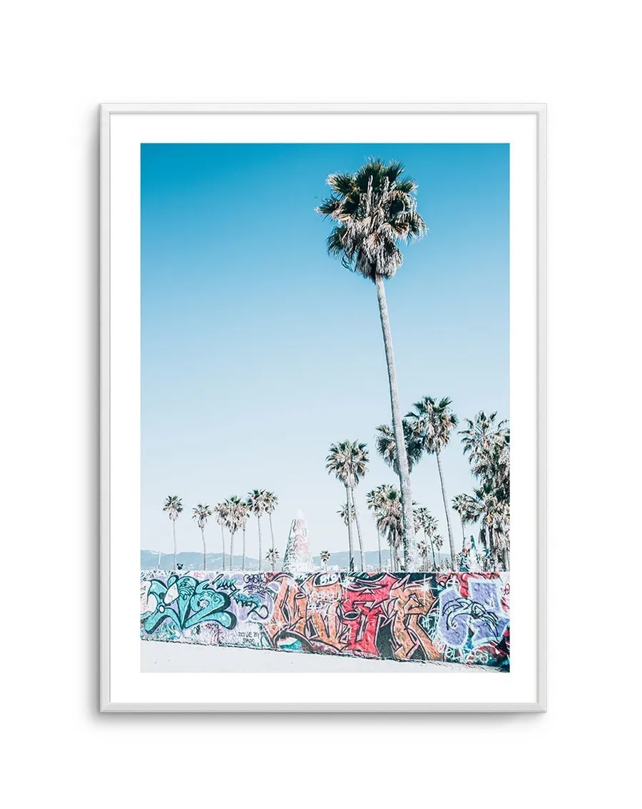 Venice Skate Park V