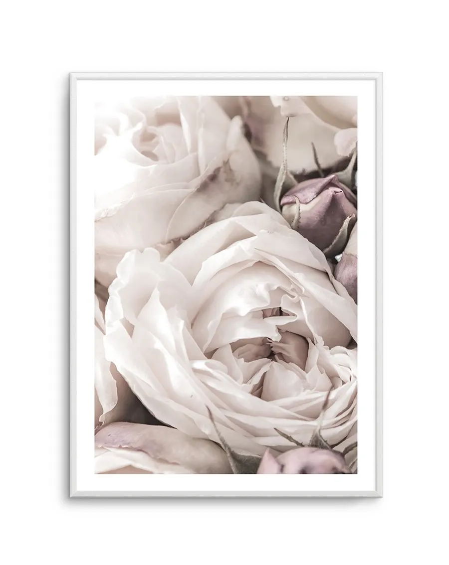 Vintage Roses II