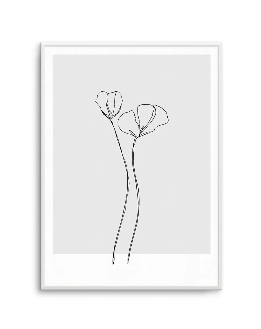 Poppy - Illustration
